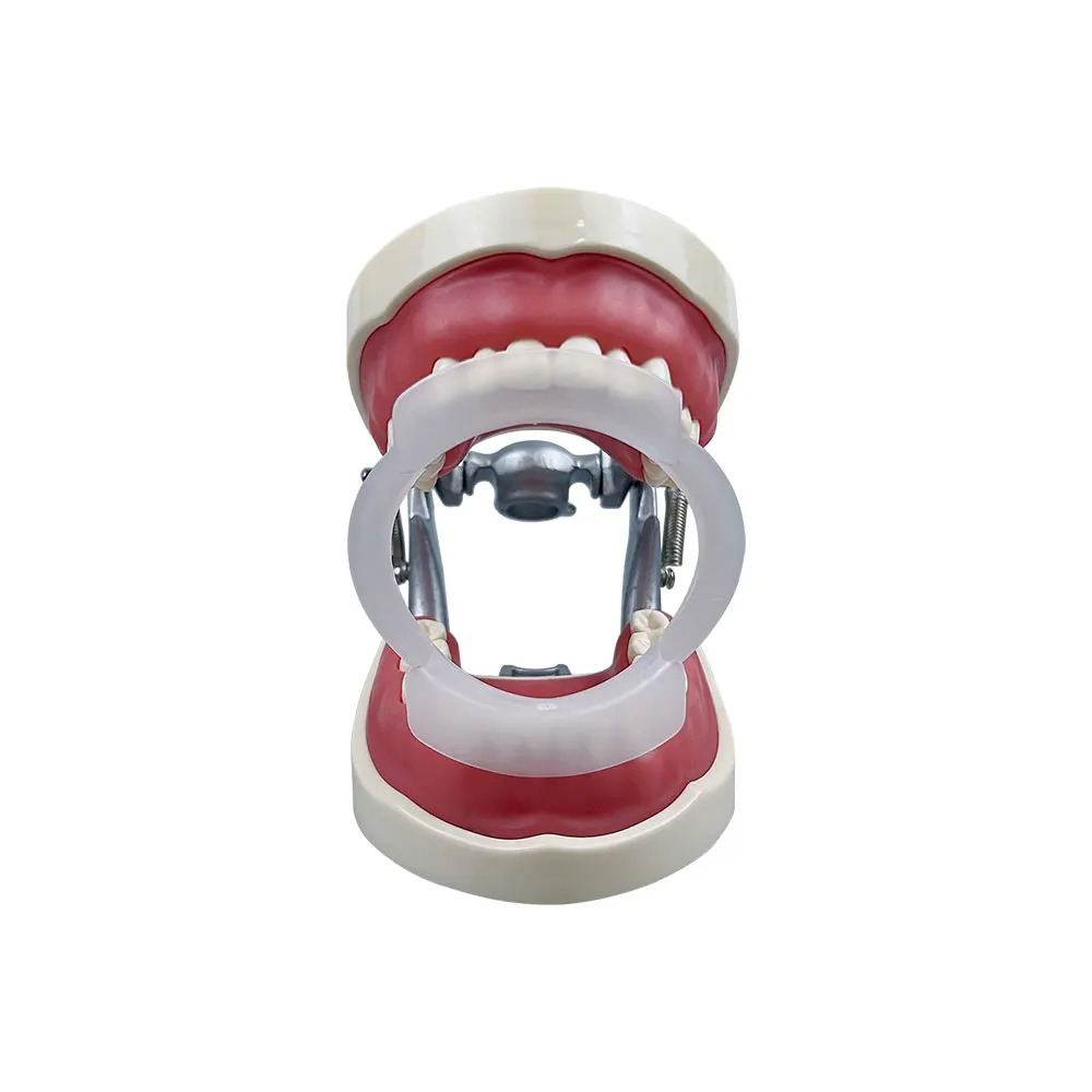 100個/袋入り 歯科用O型口腔内リップチークリトラクター  - Teeth Whitening With Braces のレビューと価格