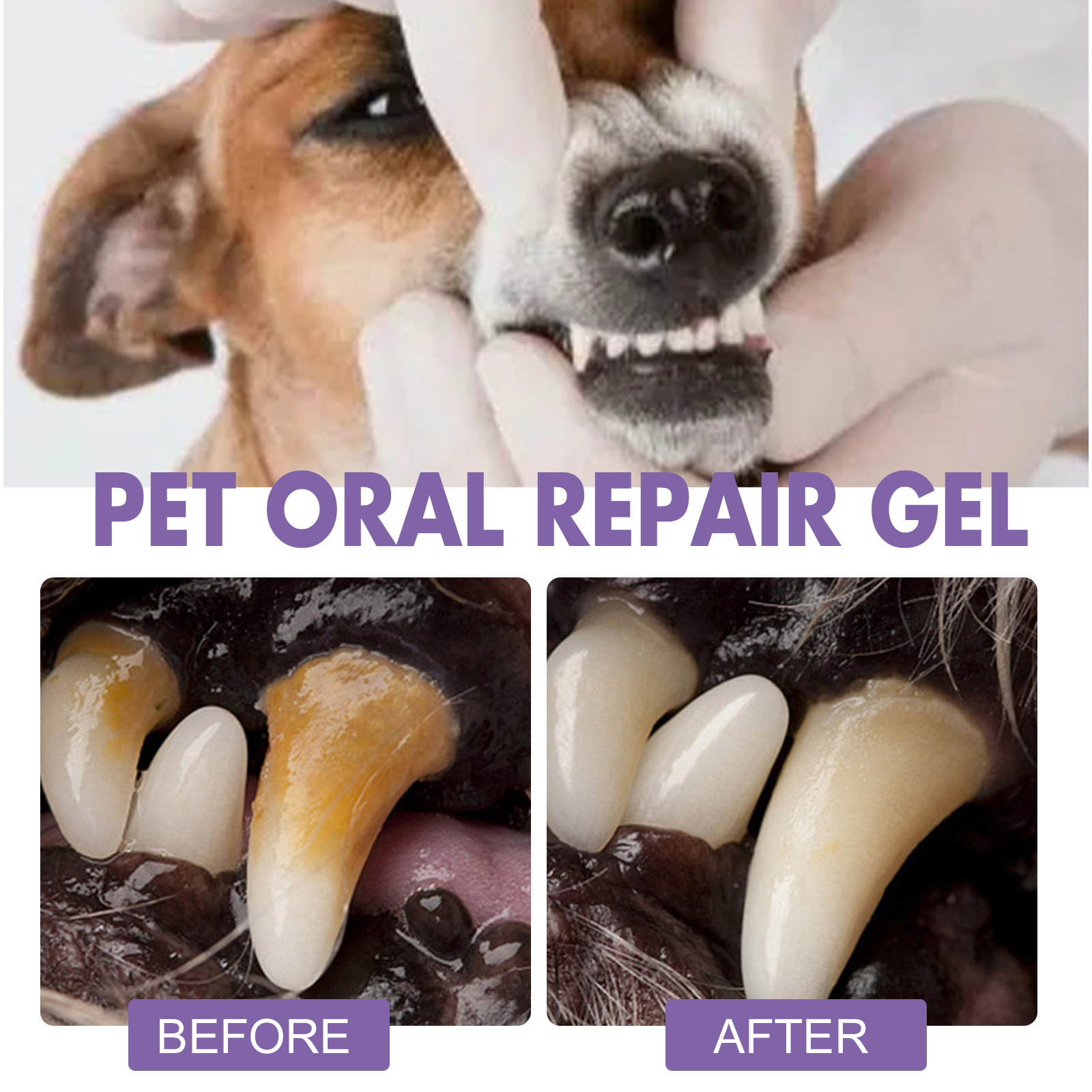 ペット口腔修復ジェル子犬歯石除去消臭剤白くする猫犬歯ステイン - Teeth Whitening Remedies のレビューと価格