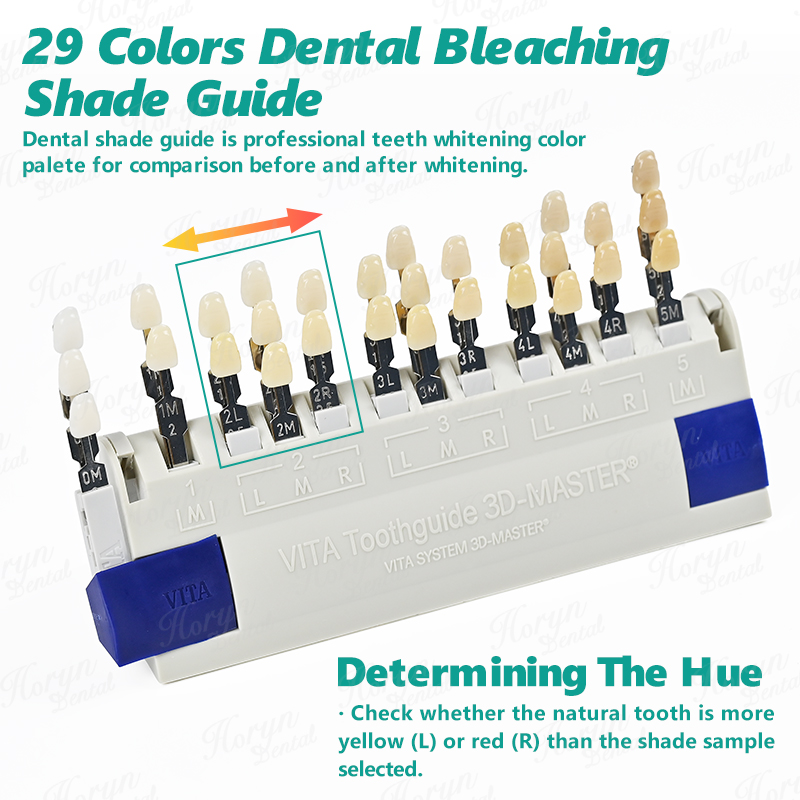 Vita 3D マスター歯科ラボ漂白シェードガイド 29 色 - Teeth Whitening Shade Guide のレビューと価格