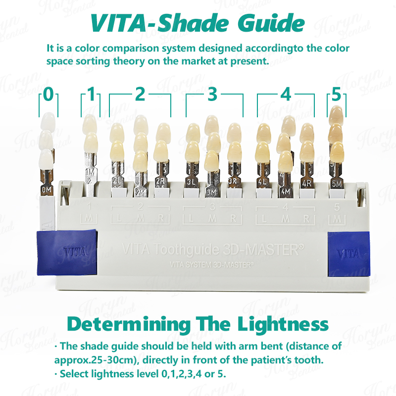 Vita 3D マスター歯科ラボ漂白シェードガイド 29 色 - Teeth Whitening Shade Guide のレビューと価格