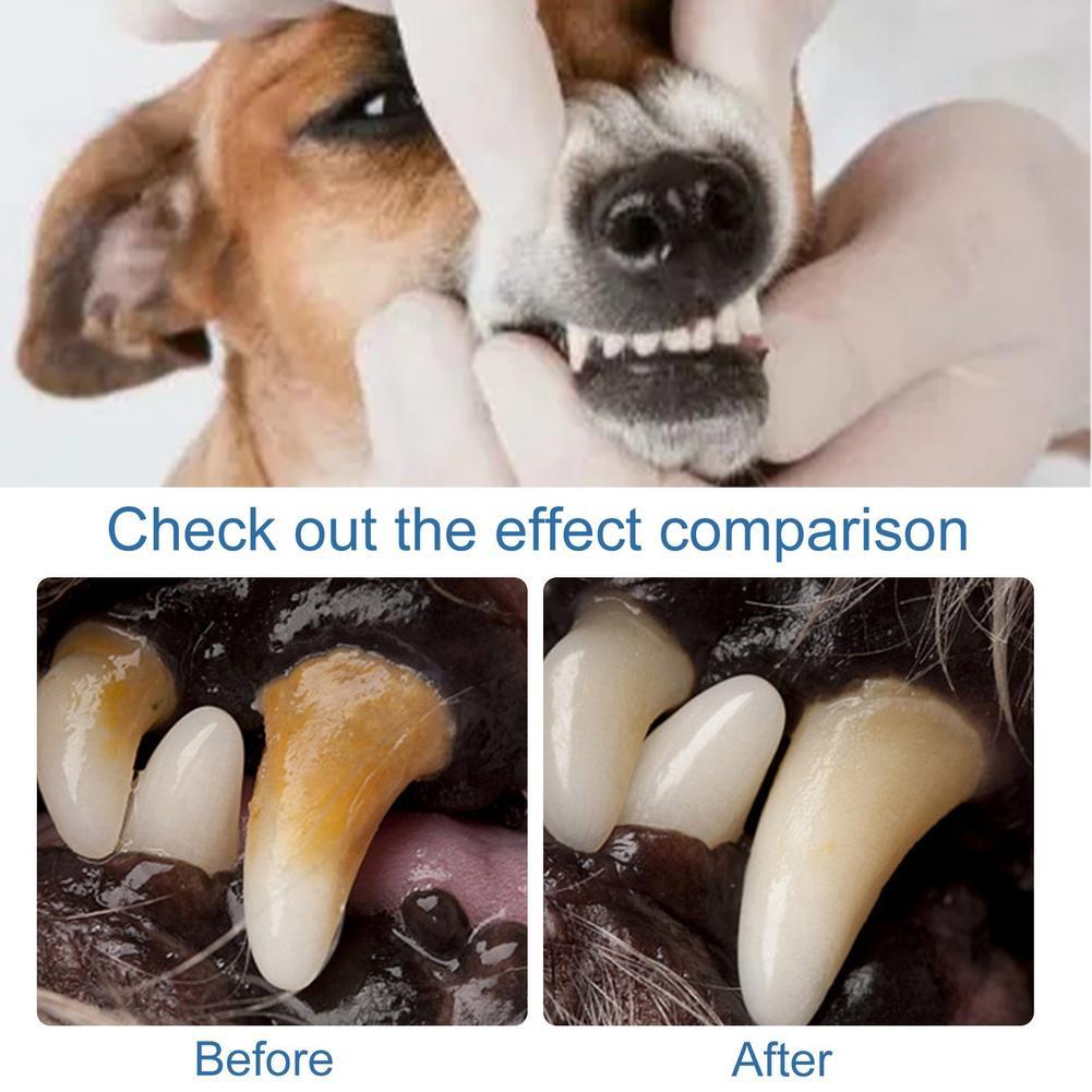 60ml ペット用口腔歯石除去スプレー 深層洗浄 黄ばみ除去 - Teeth Whitening Yellow Teeth のレビューと価格